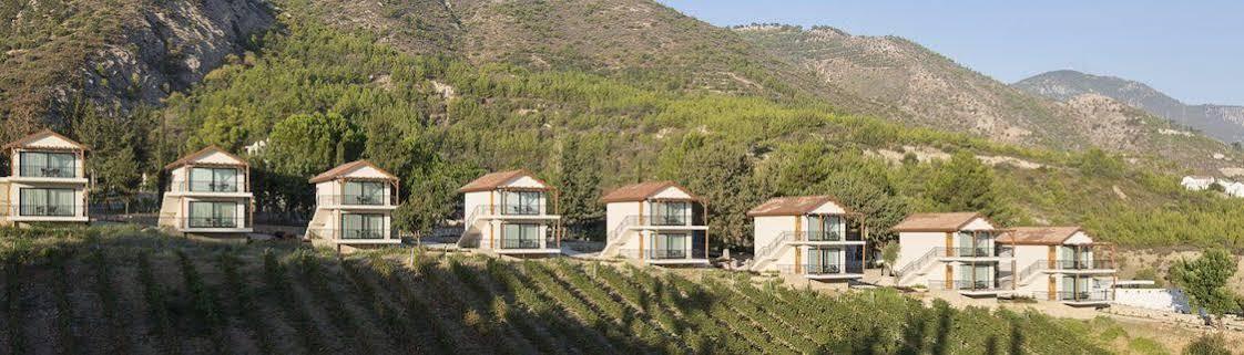 Gillham Vineyard Hotel Templos Exterior photo