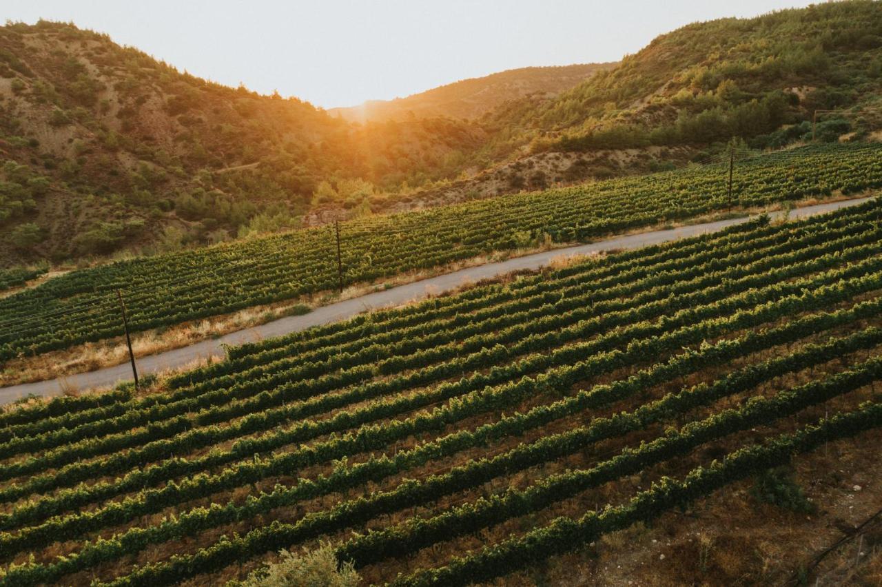 Gillham Vineyard Hotel Templos Exterior photo