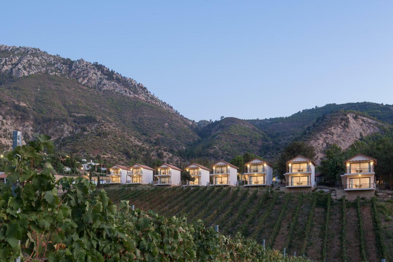 Gillham Vineyard Hotel Templos Exterior photo