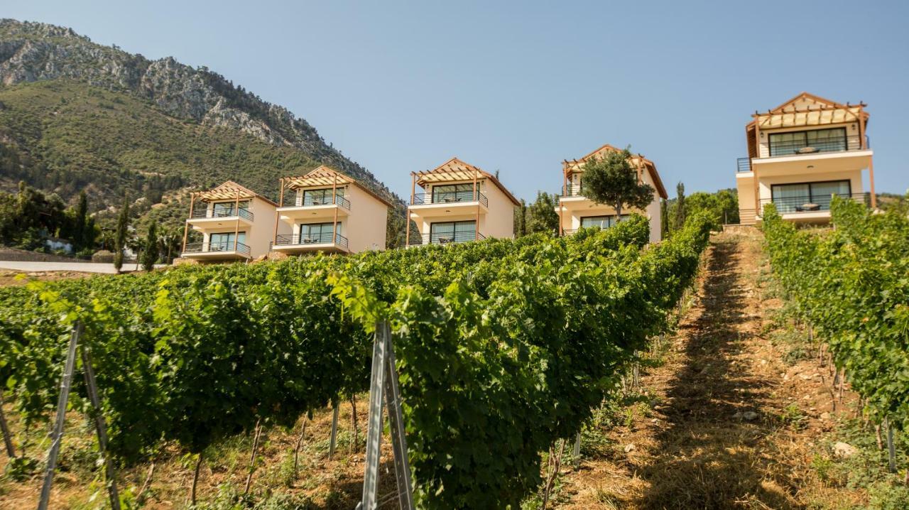 Gillham Vineyard Hotel Templos Exterior photo