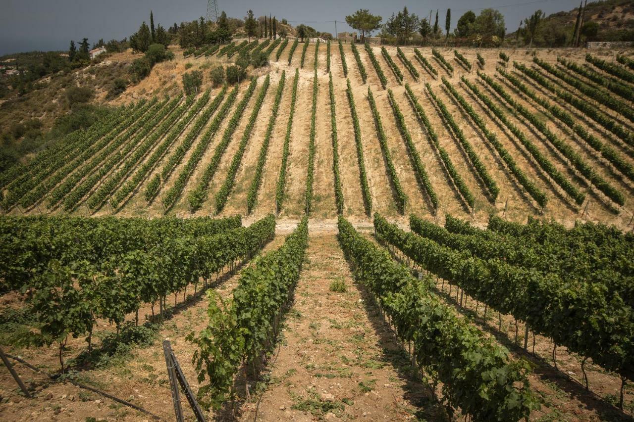 Gillham Vineyard Hotel Templos Exterior photo