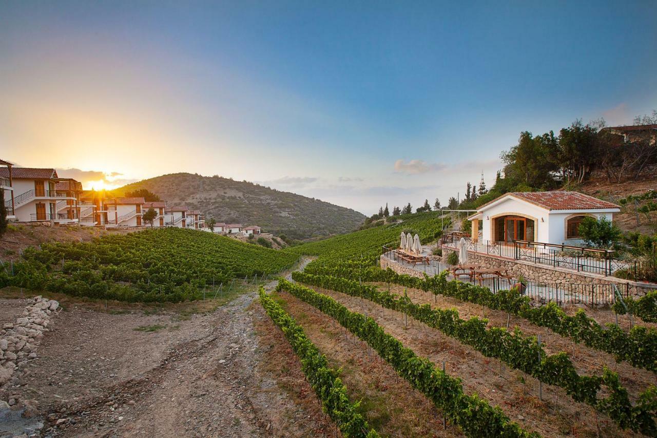 Gillham Vineyard Hotel Templos Exterior photo
